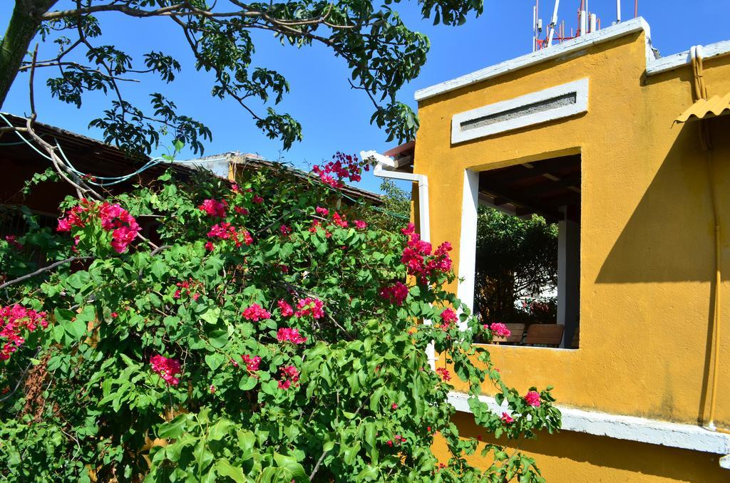 Jardin Etnobotanico Villa Ludovica Santa Marta  Phòng bức ảnh