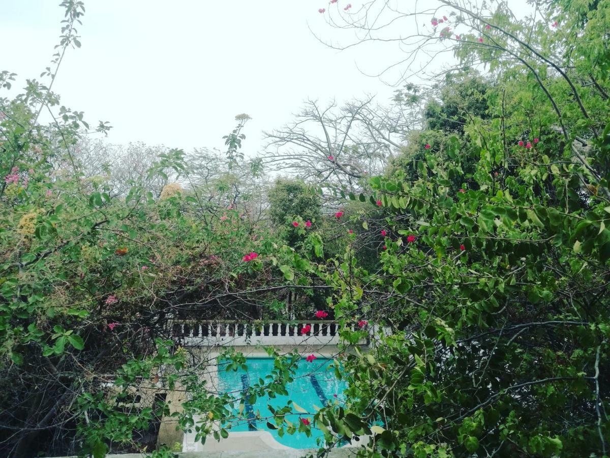 Jardin Etnobotanico Villa Ludovica Santa Marta  Ngoại thất bức ảnh