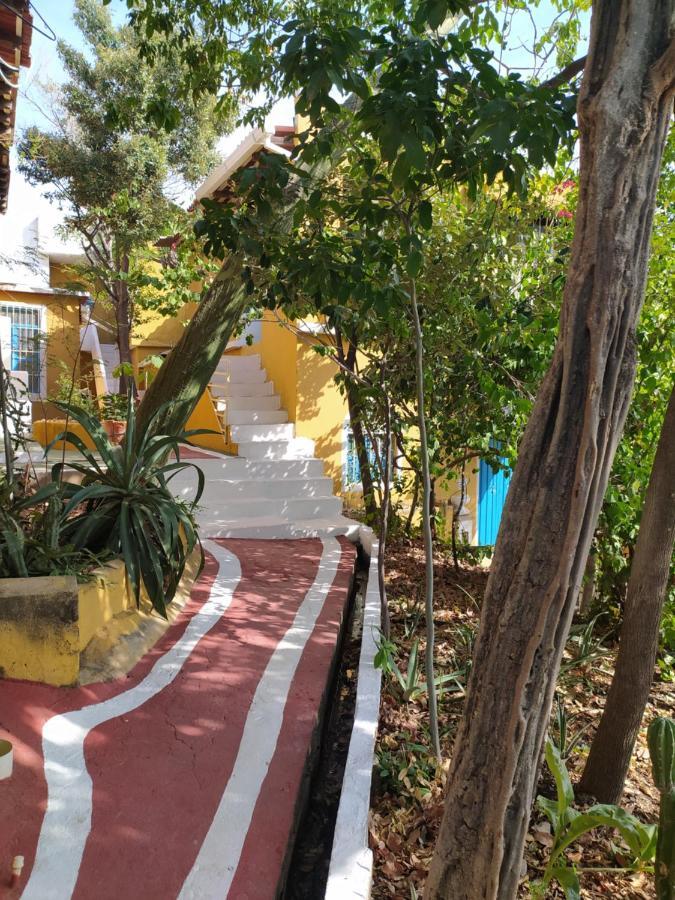 Jardin Etnobotanico Villa Ludovica Santa Marta  Ngoại thất bức ảnh