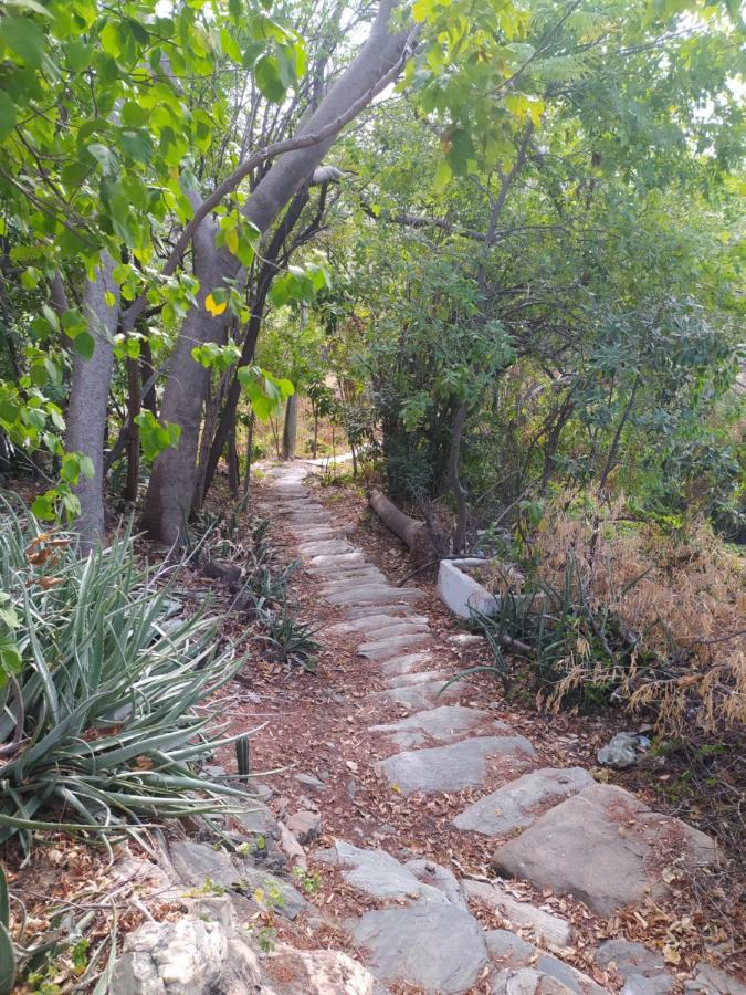 Jardin Etnobotanico Villa Ludovica Santa Marta  Ngoại thất bức ảnh
